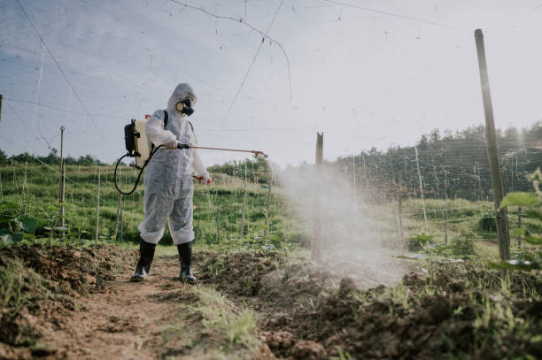 Best Mosquito Control Services  in Pomeroy, OH