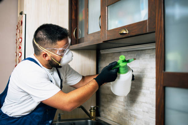 Best Ant Control Services  in Pomeroy, OH