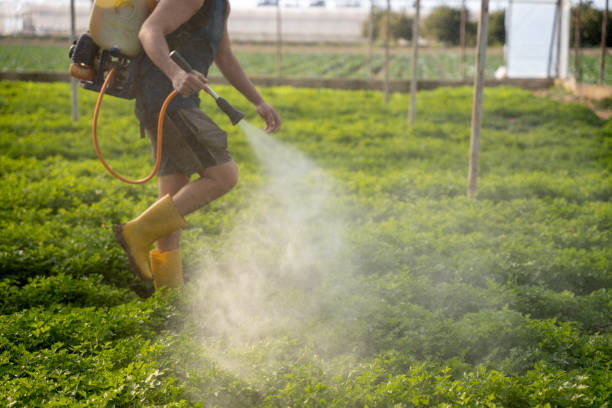 Best Residential Pest Control  in Pomeroy, OH
