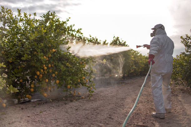 Best Bed Bug Extermination  in Pomeroy, OH