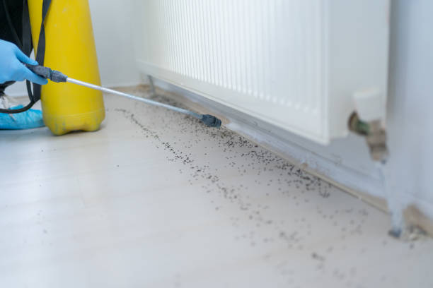 Best Wildlife Control Services  in Pomeroy, OH