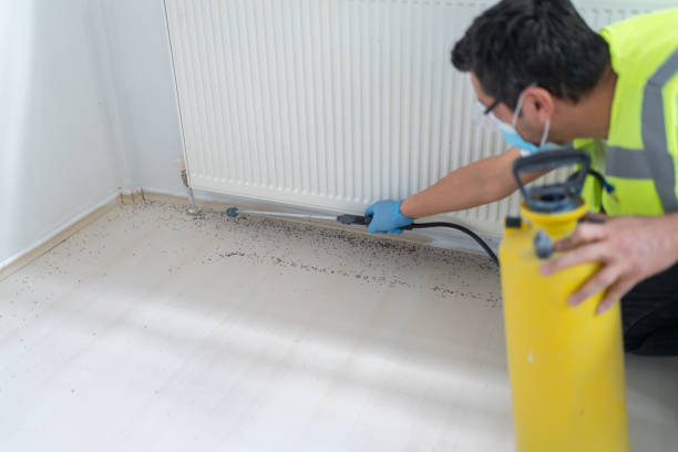 Best Best Pest Control Companies  in Pomeroy, OH