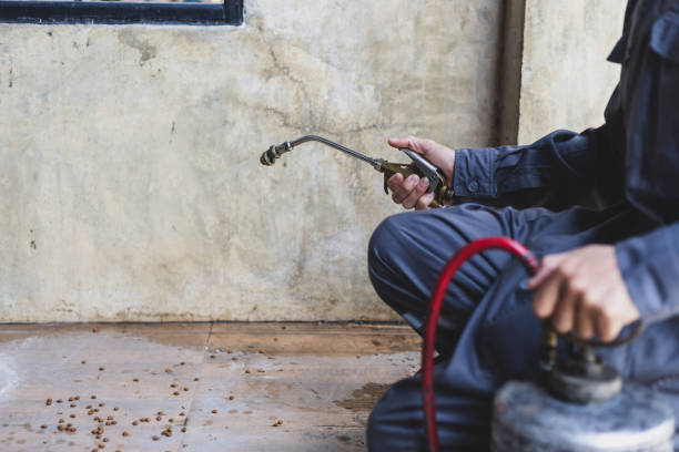 Best Flea Control Services  in Pomeroy, OH