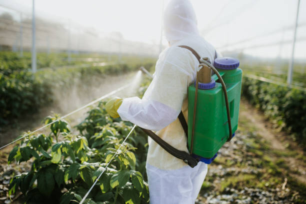 Best Commercial Pest Control Services  in Pomeroy, OH
